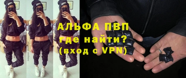 стаф Алексин
