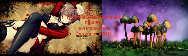 МДМА Арсеньев