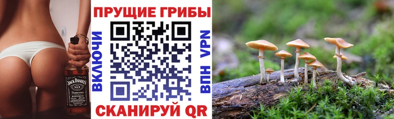 Галлюциногенные грибы мухоморы  где купить наркоту  Баймак 